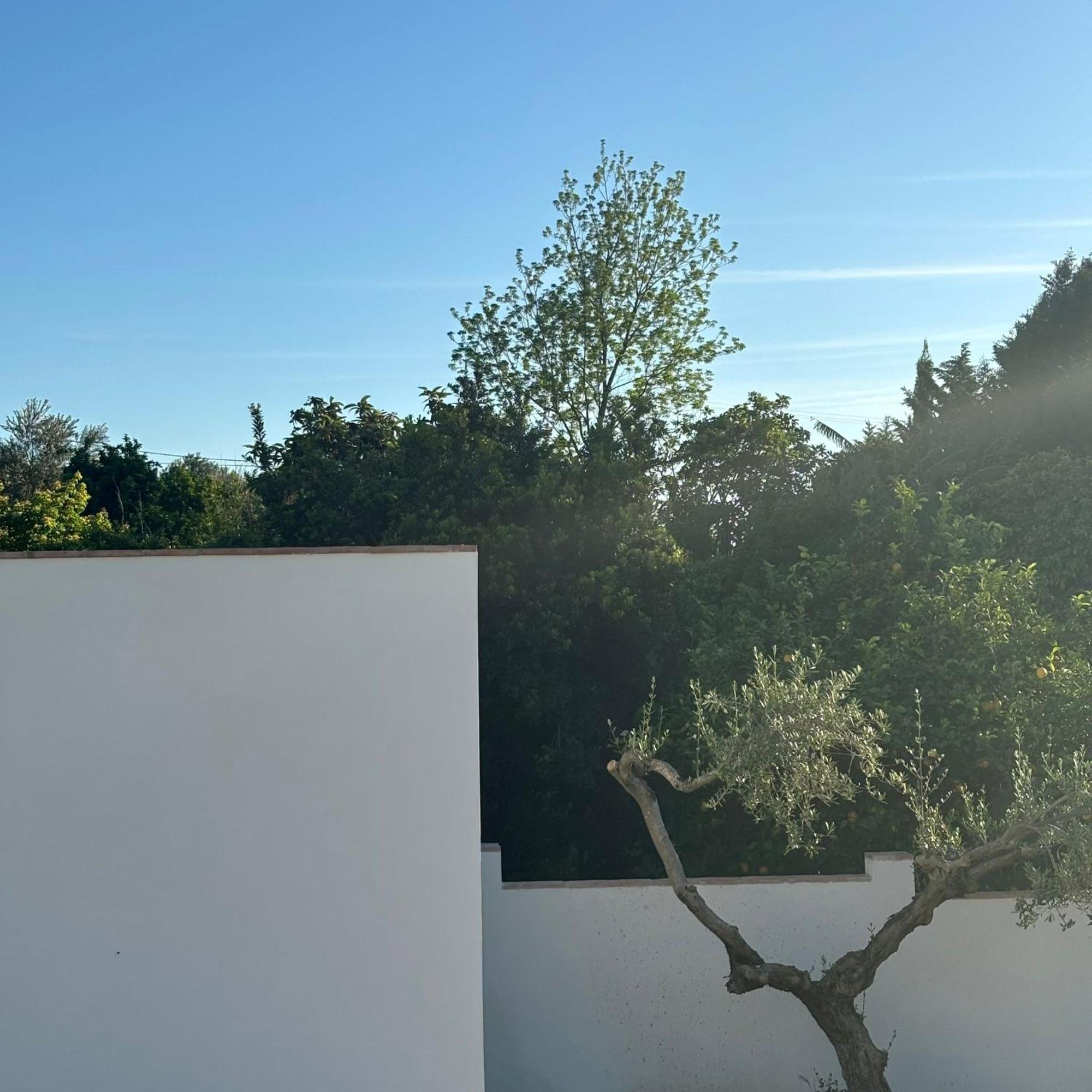 Casa Santos Arcos Vistas Y Parking Privado Bed & Breakfast Arcos de la Frontera Ngoại thất bức ảnh